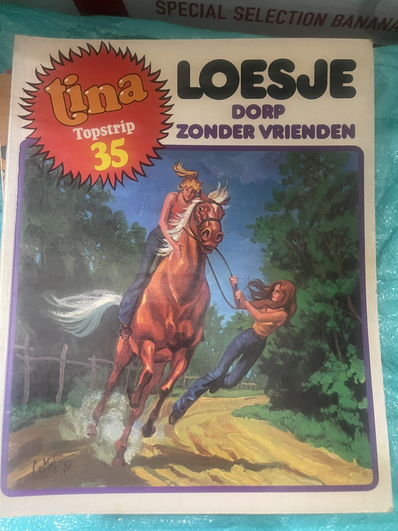 Cover van Dorp zonder vrienden