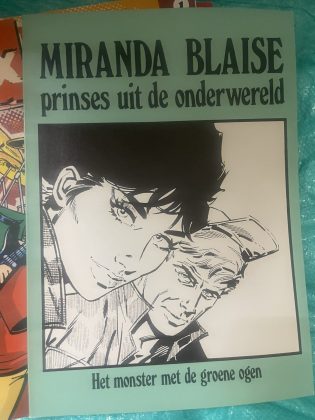 Cover van Het monster met de groene ogen