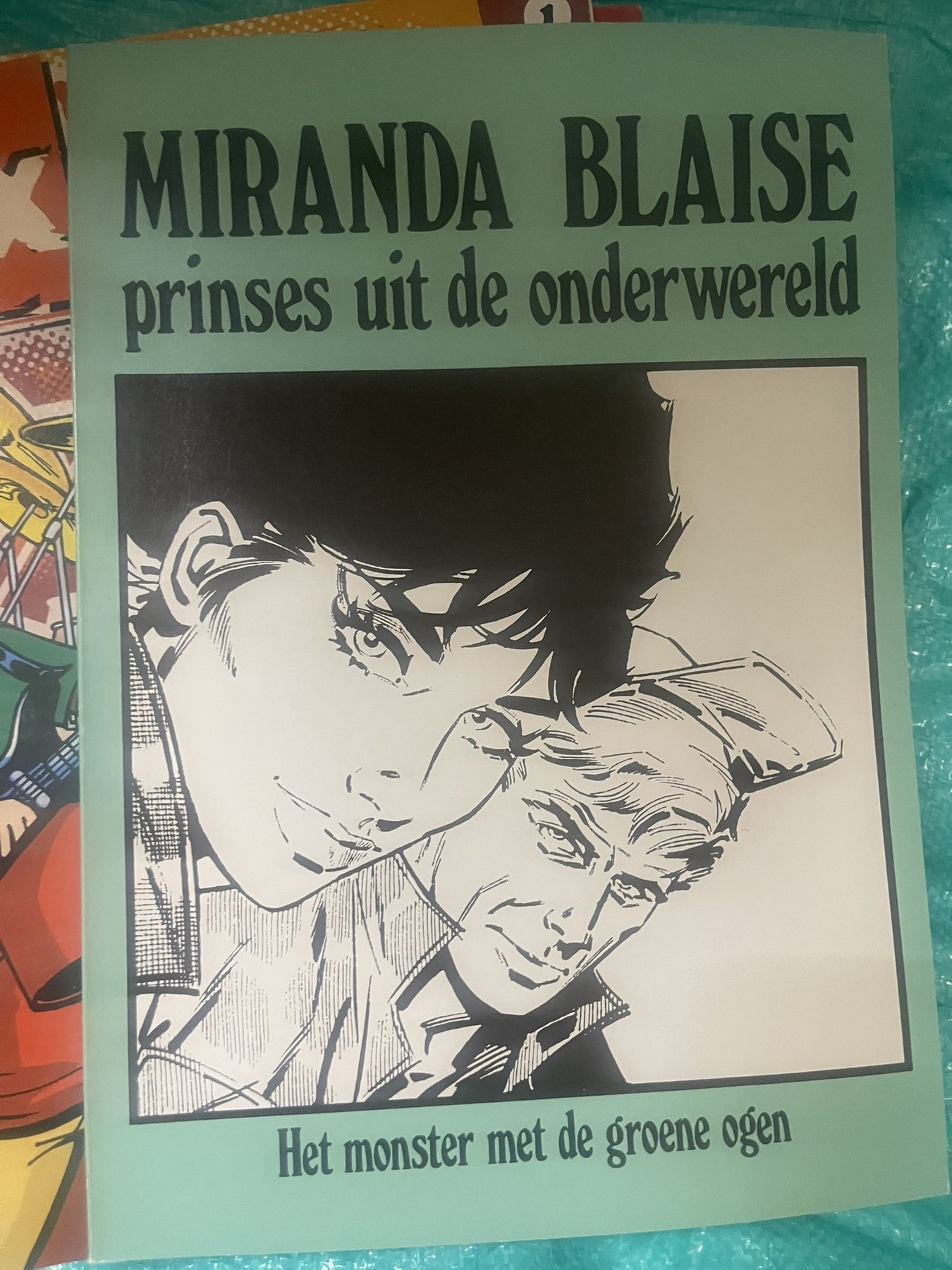Cover van Het monster met de groene ogen