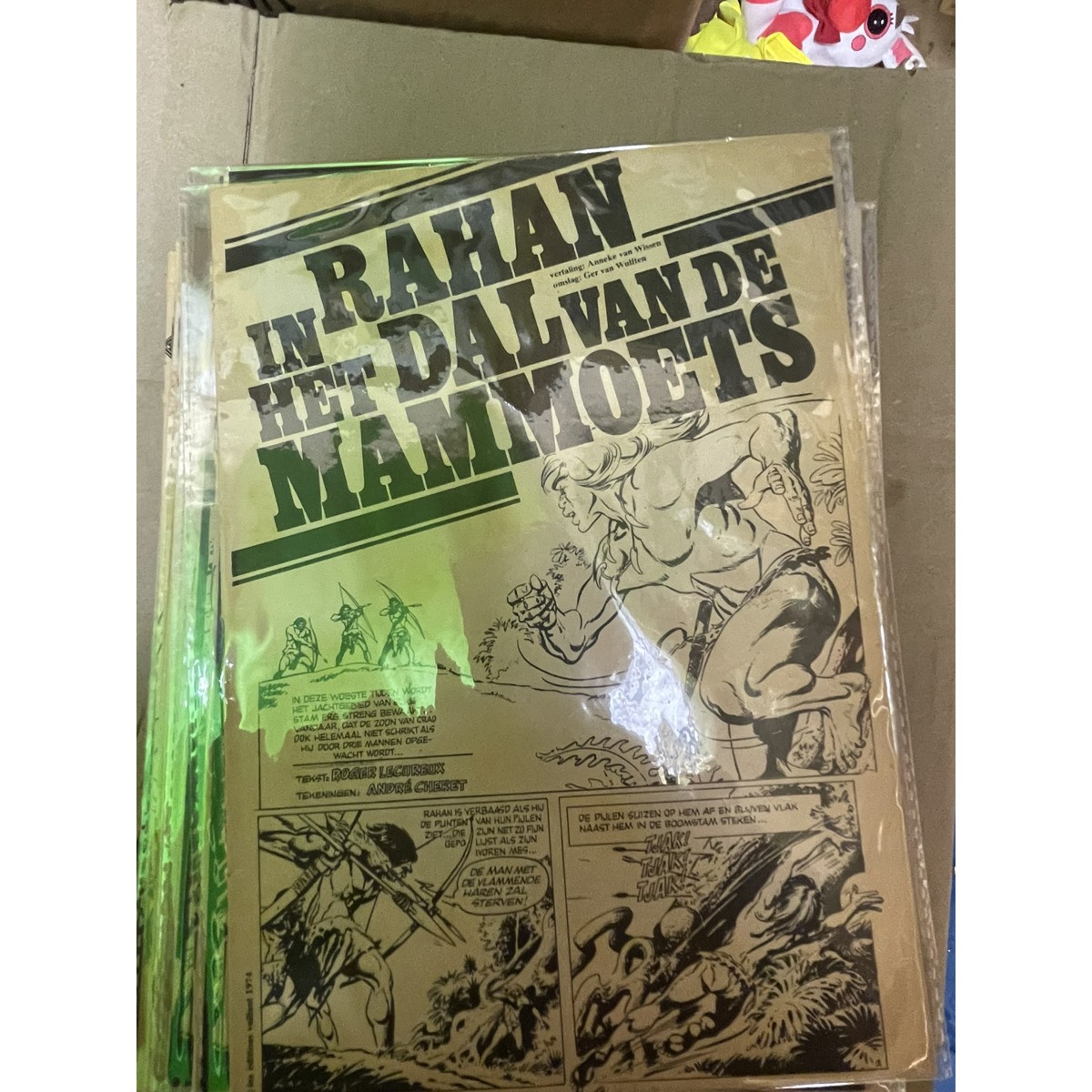 Rahan in het dal van de mammoets