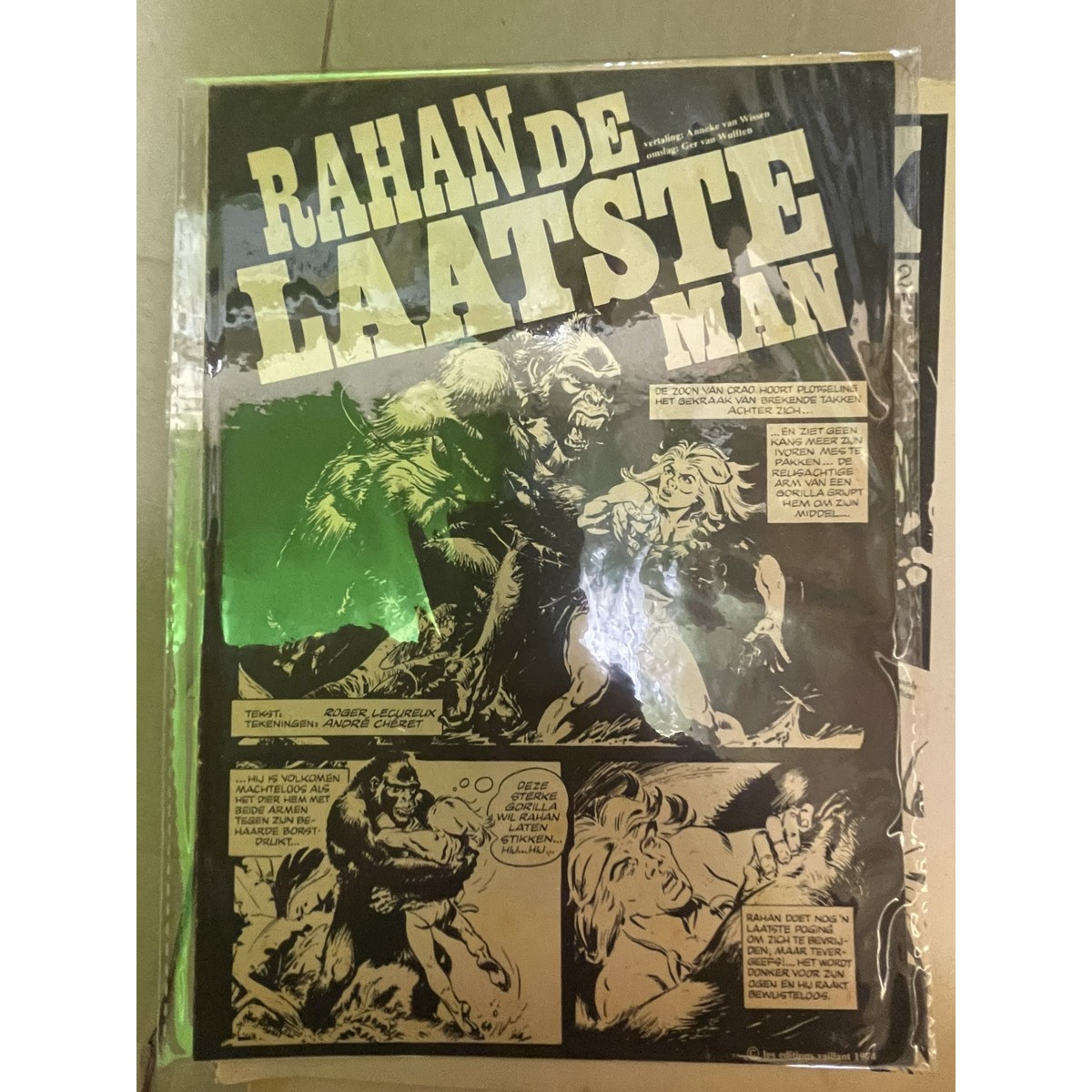 De laatste man