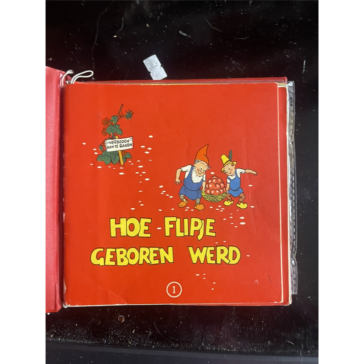 Hoe Flipje geboren werd