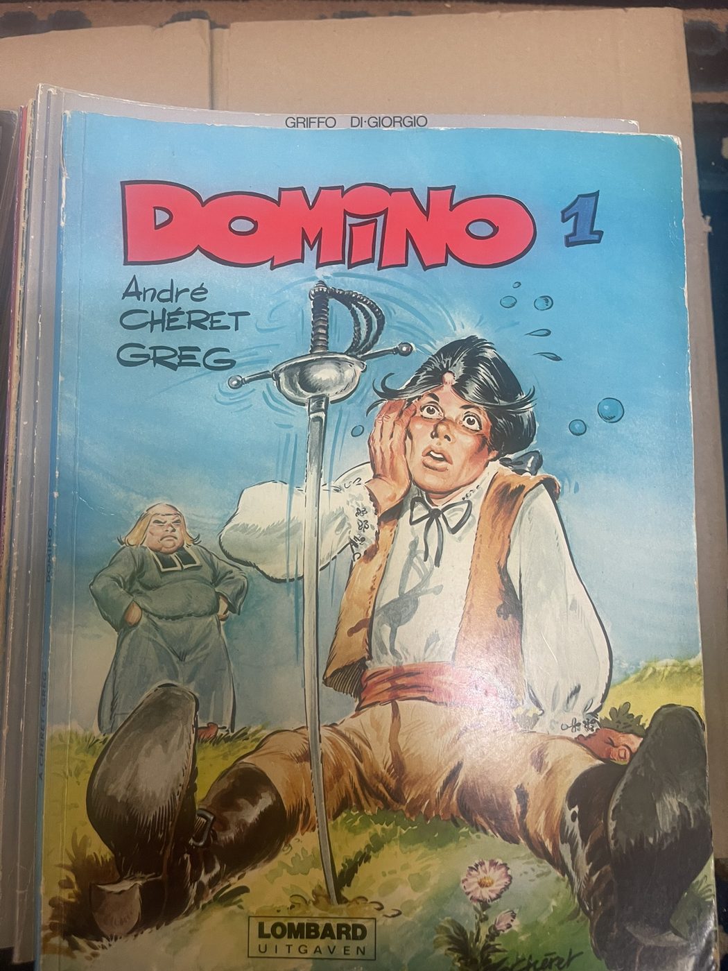 Cover van Domino