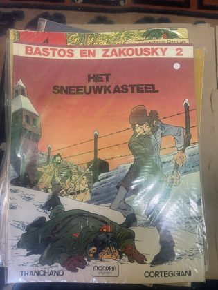 Cover van Het sneeuwkasteel