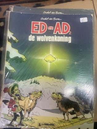 Cover van De wolvenkoning