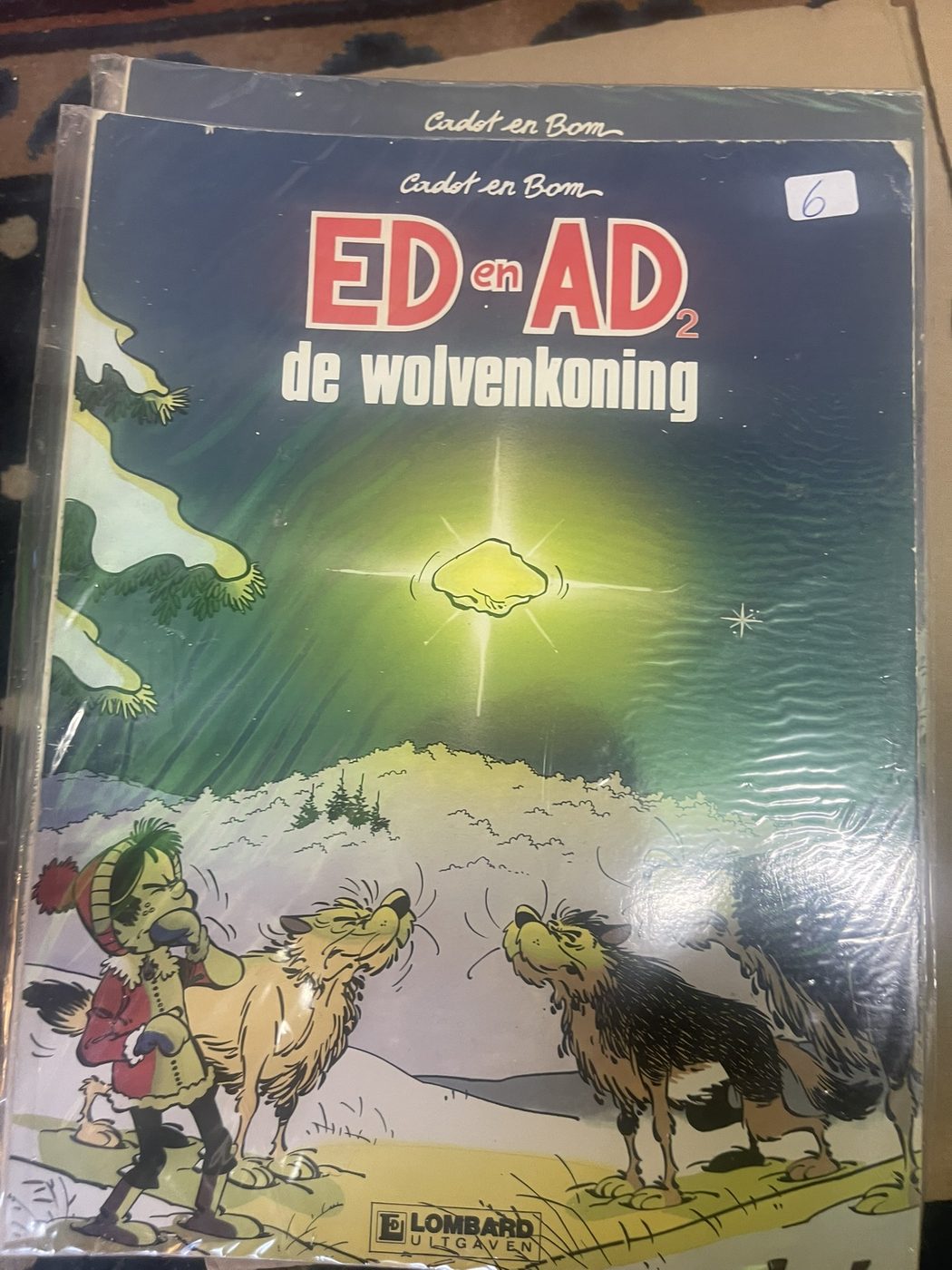 Cover van De wolvenkoning