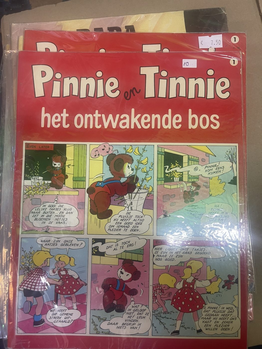 Cover van Het ontwakende bos
