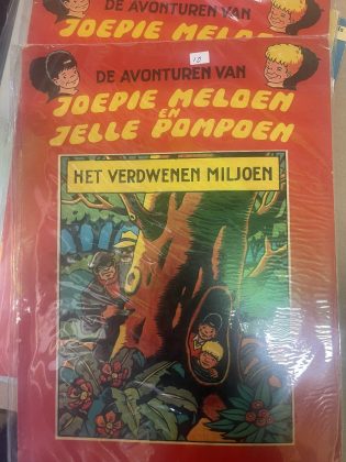 Cover van Het verdwenen miljoen