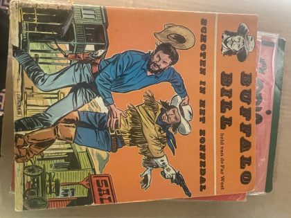 Cover van Schoten in het Zonnedal