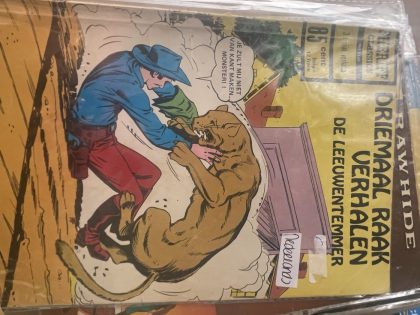 Cover van Driemaal Raak Verhalen - De leeuwentemmer