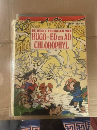Cover van De beste verhalen van Hugo - Ed en Ad - Chlorophyl