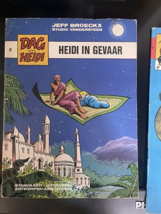 Cover van Heidi in gevaar