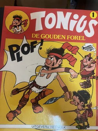 Cover van De gouden forel