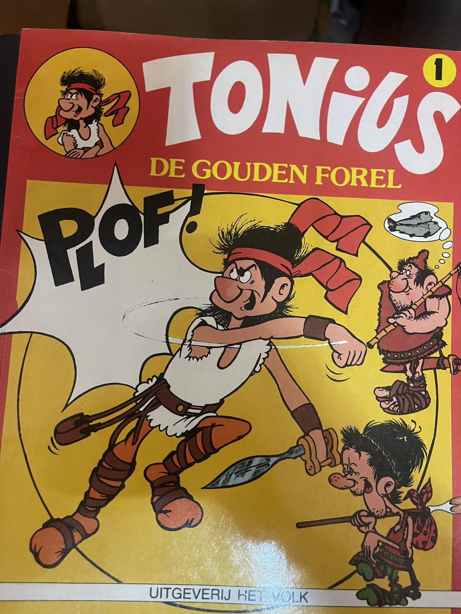 Cover van De gouden forel