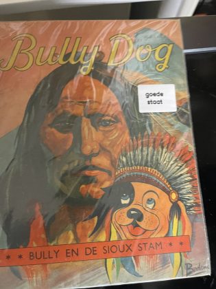 Cover van Bully en de Sioux stam