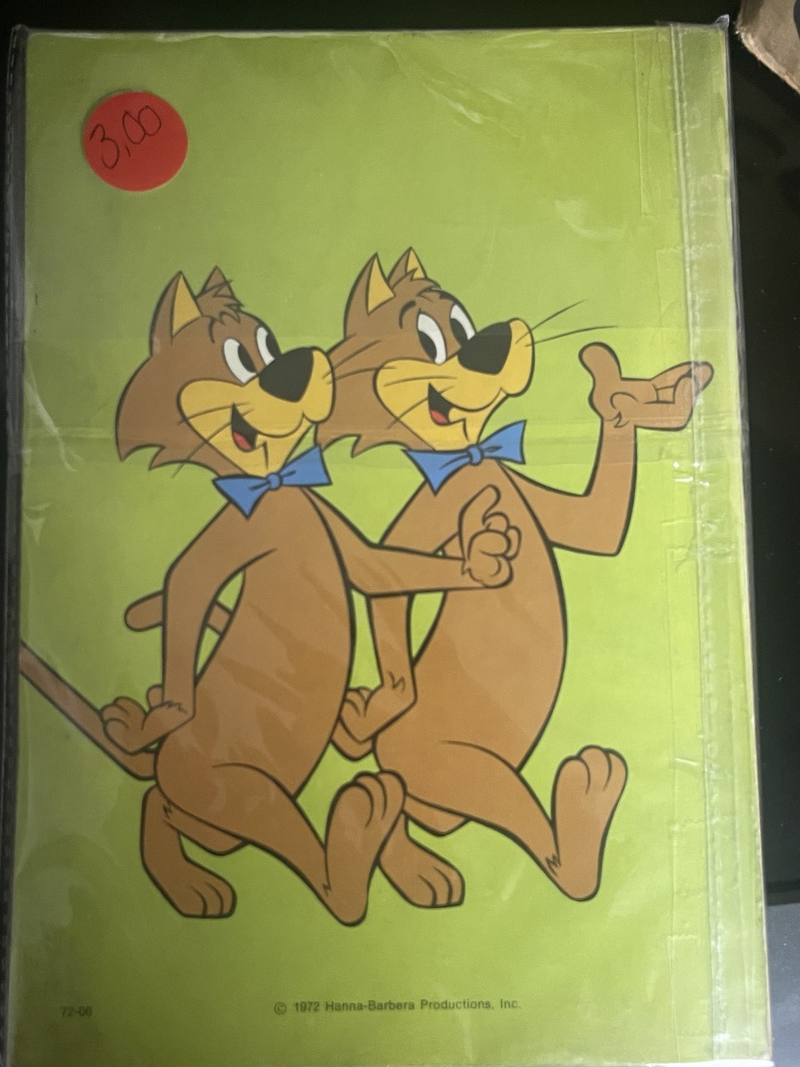Buuv' - Memoires van een buurman - afbeelding 2
