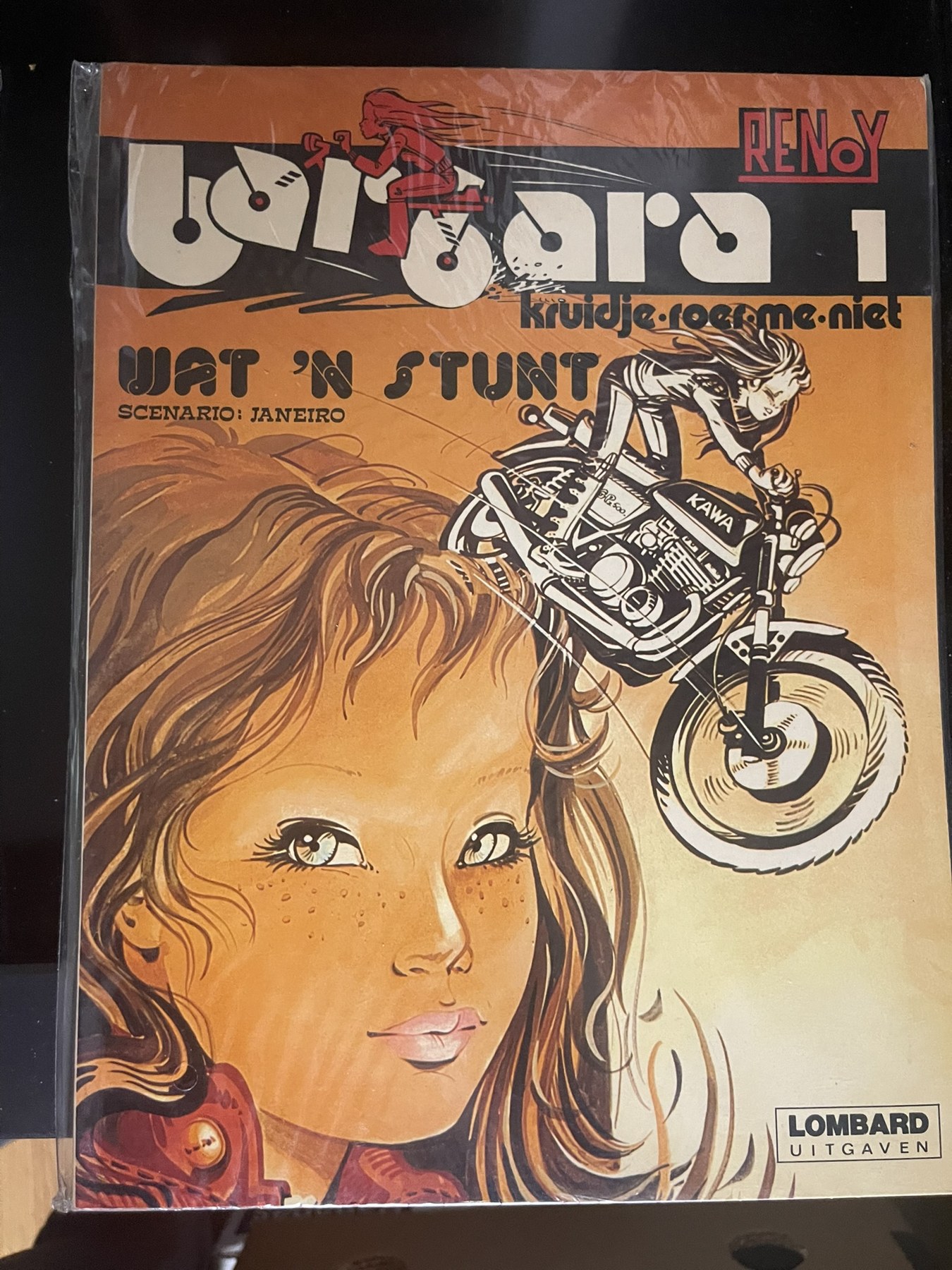Cover van Wat 'n stunt