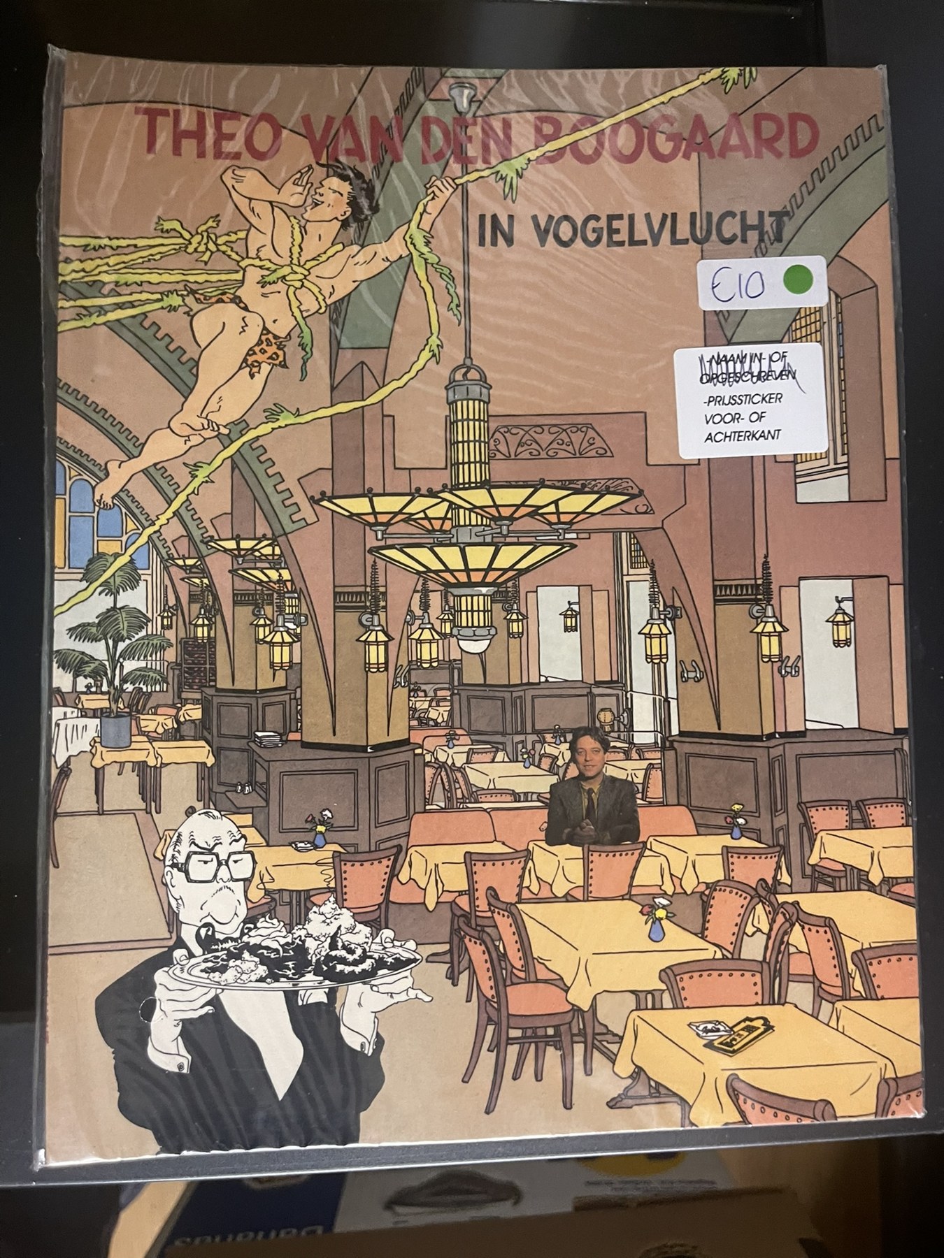 Cover van Theo van den Boogaard in vogelvlucht