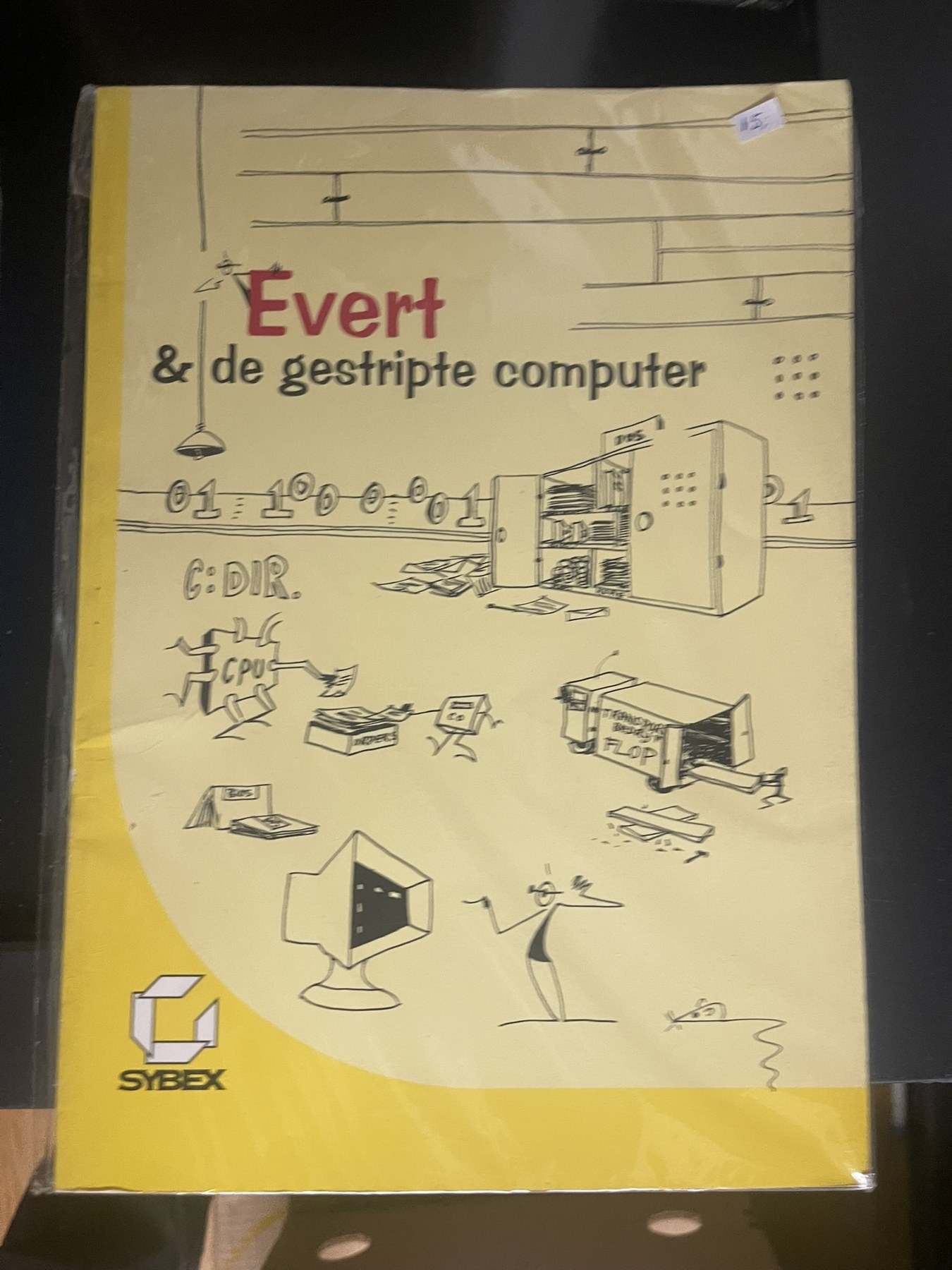 Cover van Evert & de gestripte computer