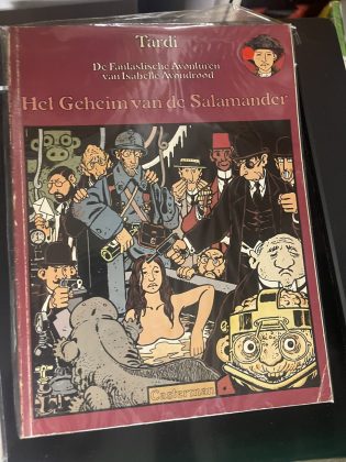 Cover van Het geheim van de Salamander