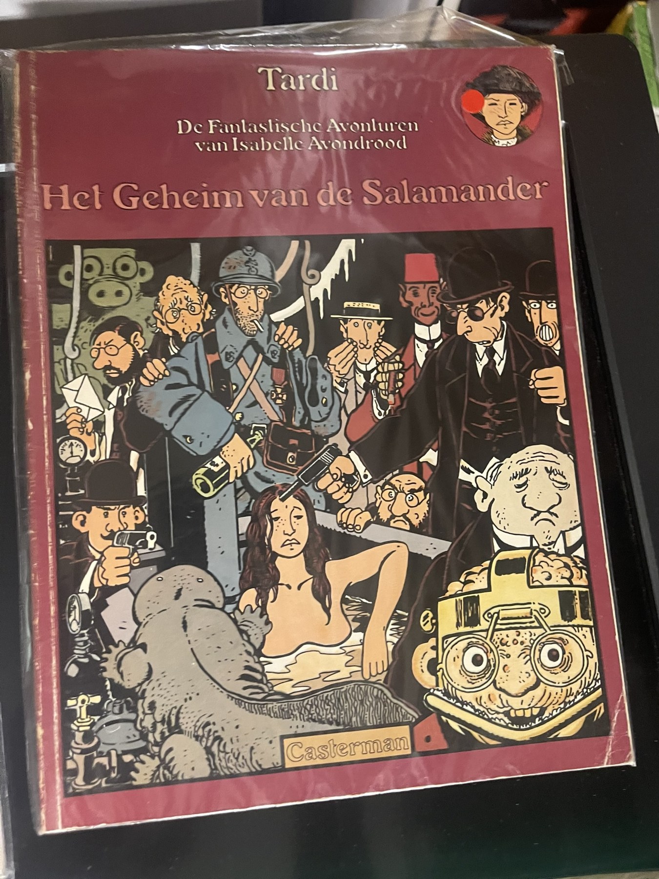 Cover van Het geheim van de Salamander