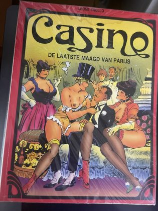 Cover van De laatste maagd van Parijs