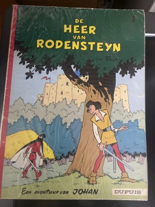 Cover van De heer van Rodensteyn