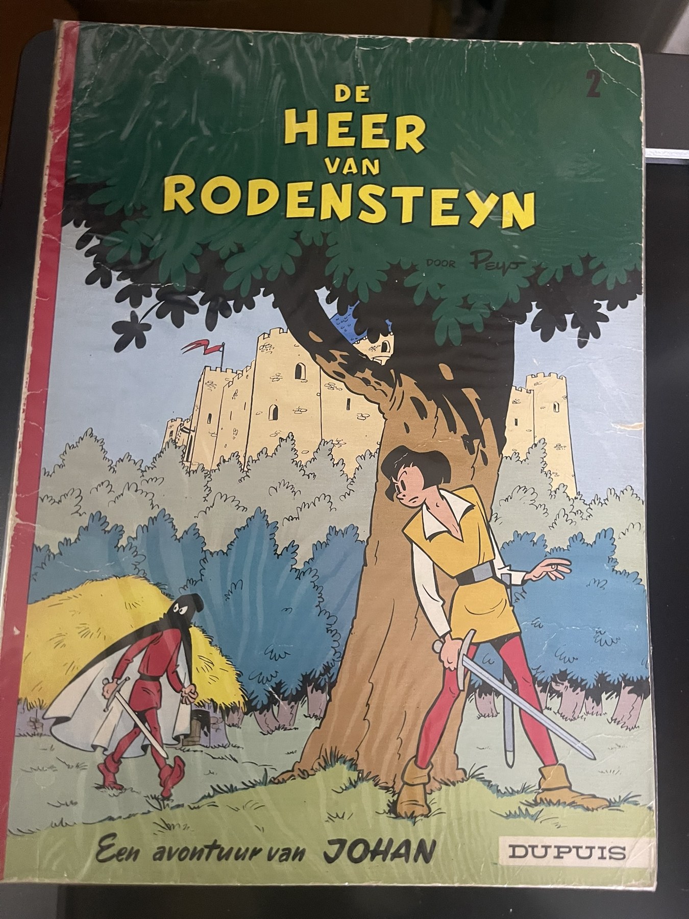 Cover van De heer van Rodensteyn