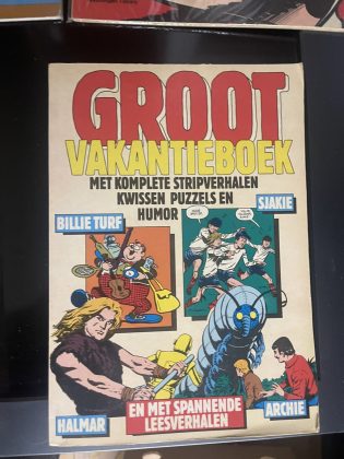Cover van Groot vakantieboek
