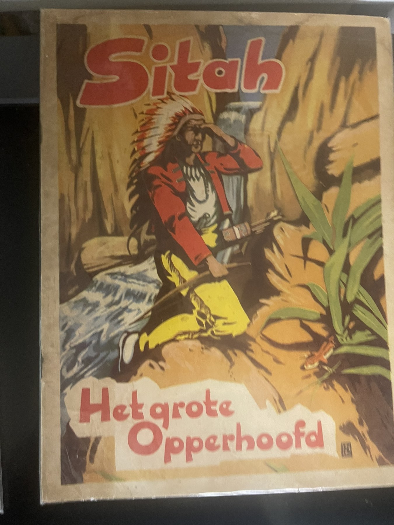 Cover van Het grote opperhoofd