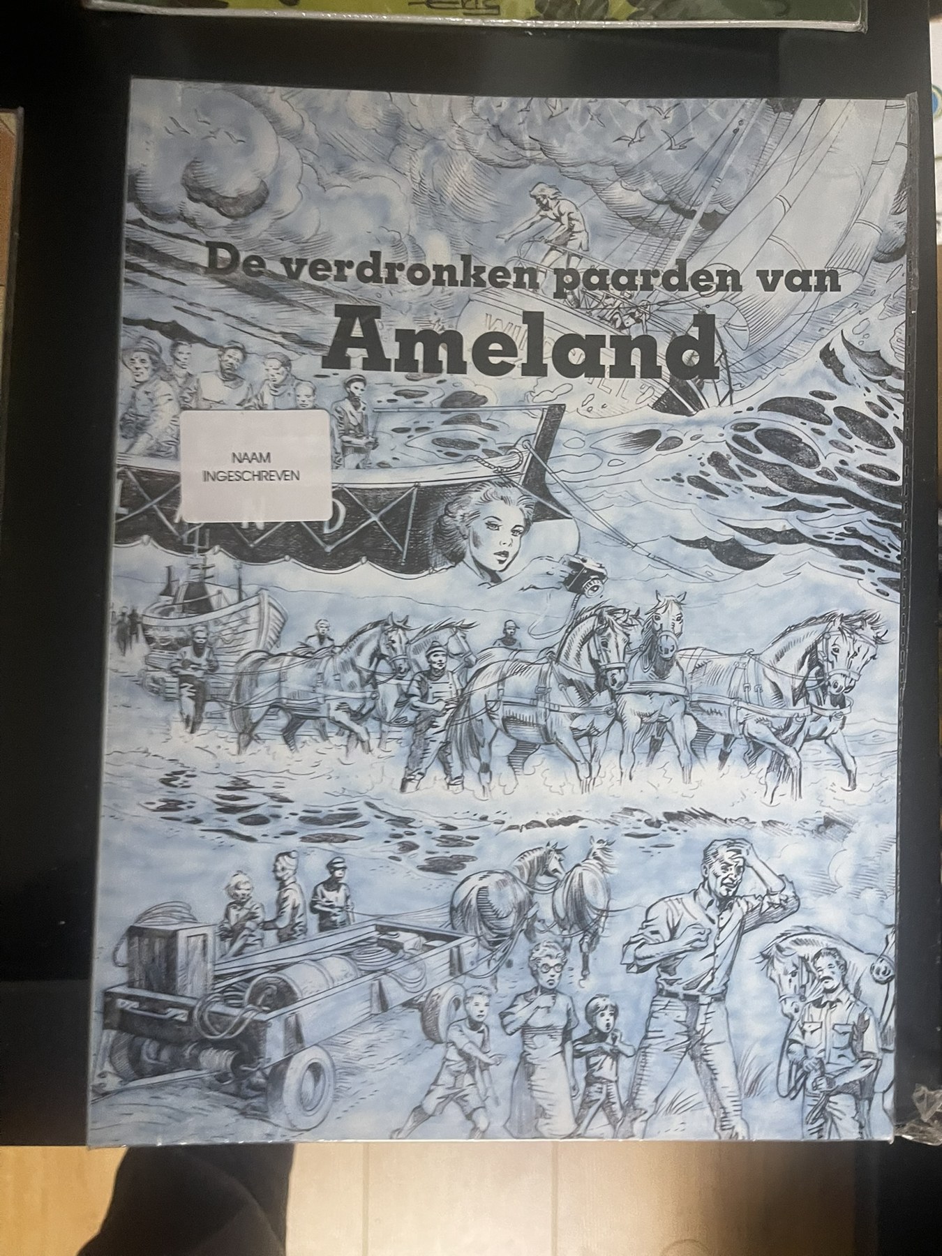 Cover van De verdronken paarden van Ameland