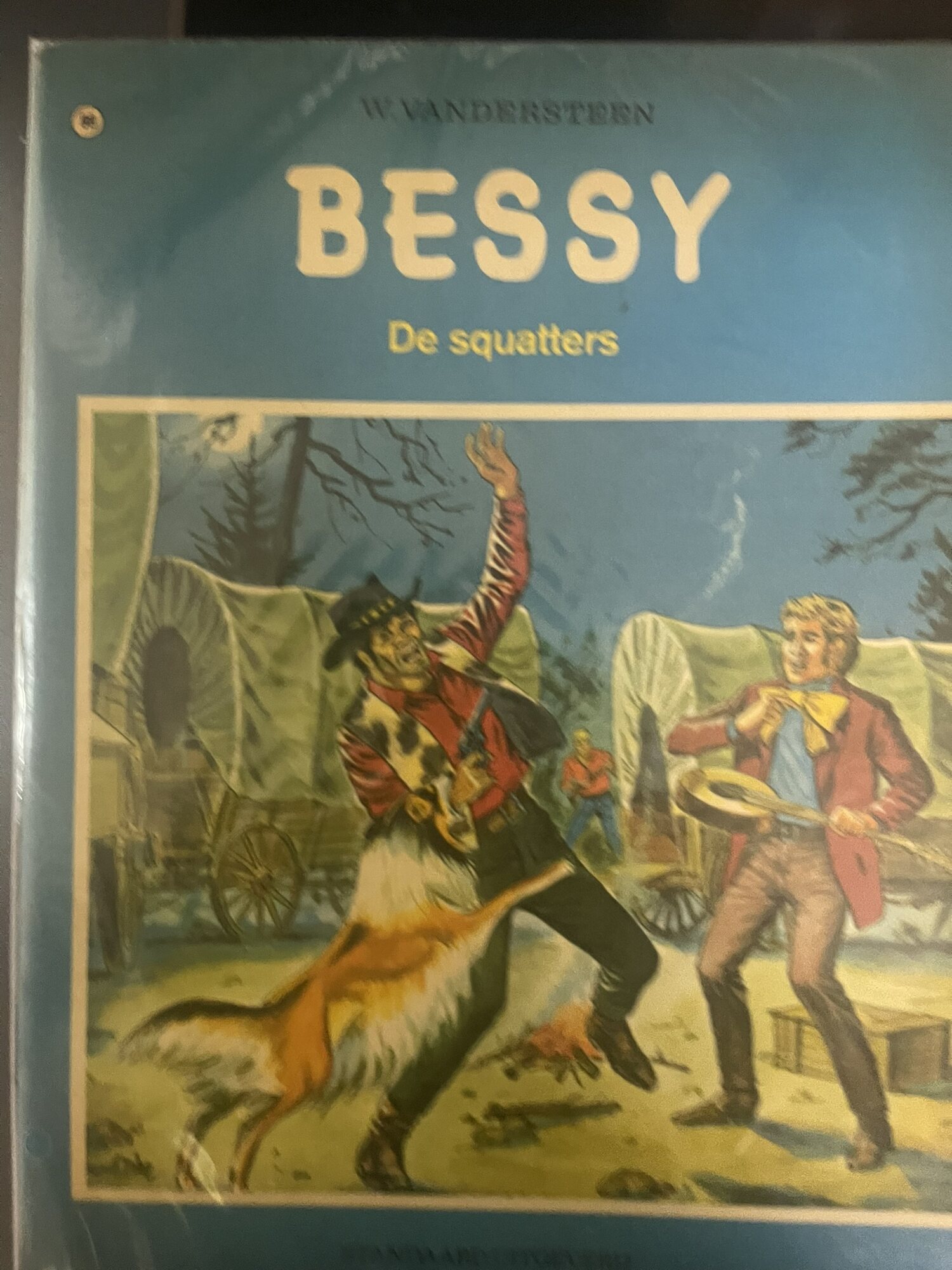 Cover van De Squatters