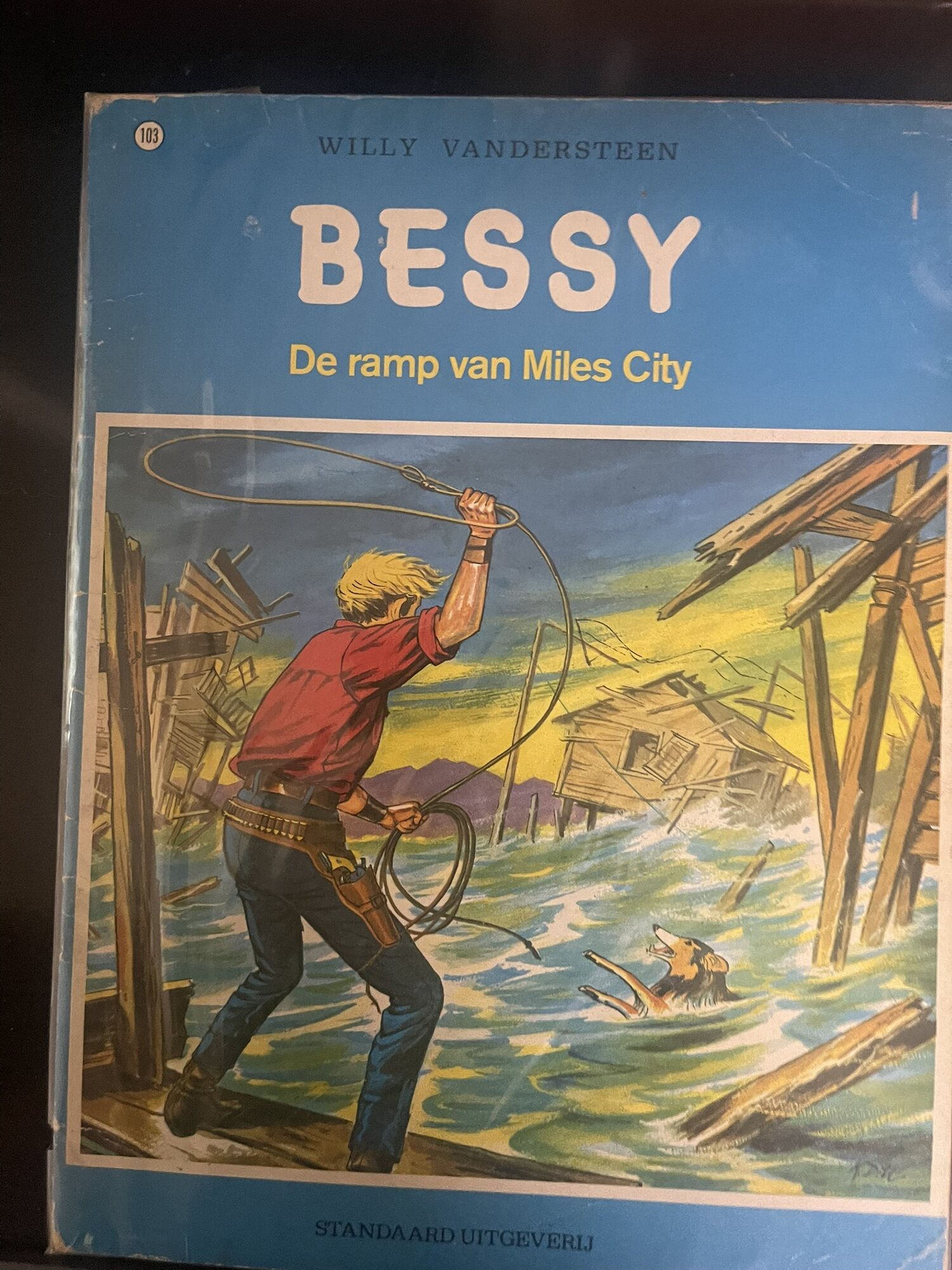 Cover van De ramp van Miles City