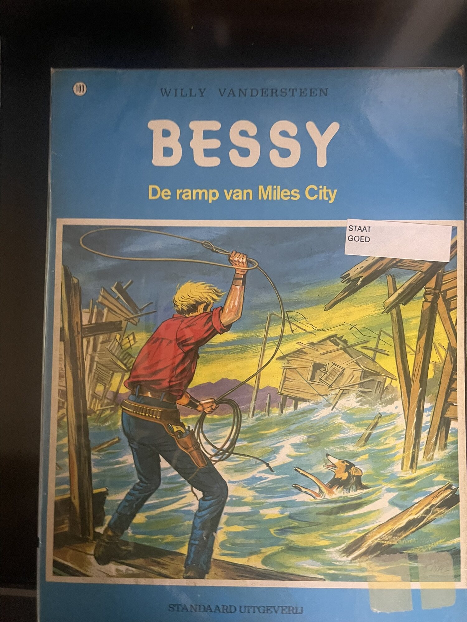 Cover van De ramp van Miles City