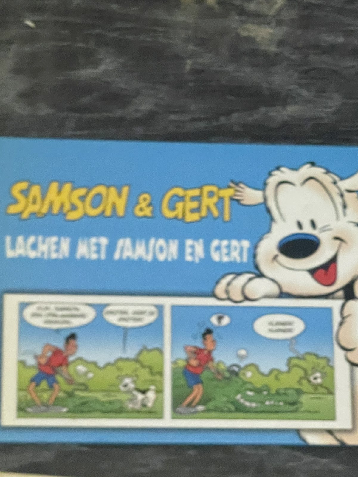 Cover van Samson & Gert
