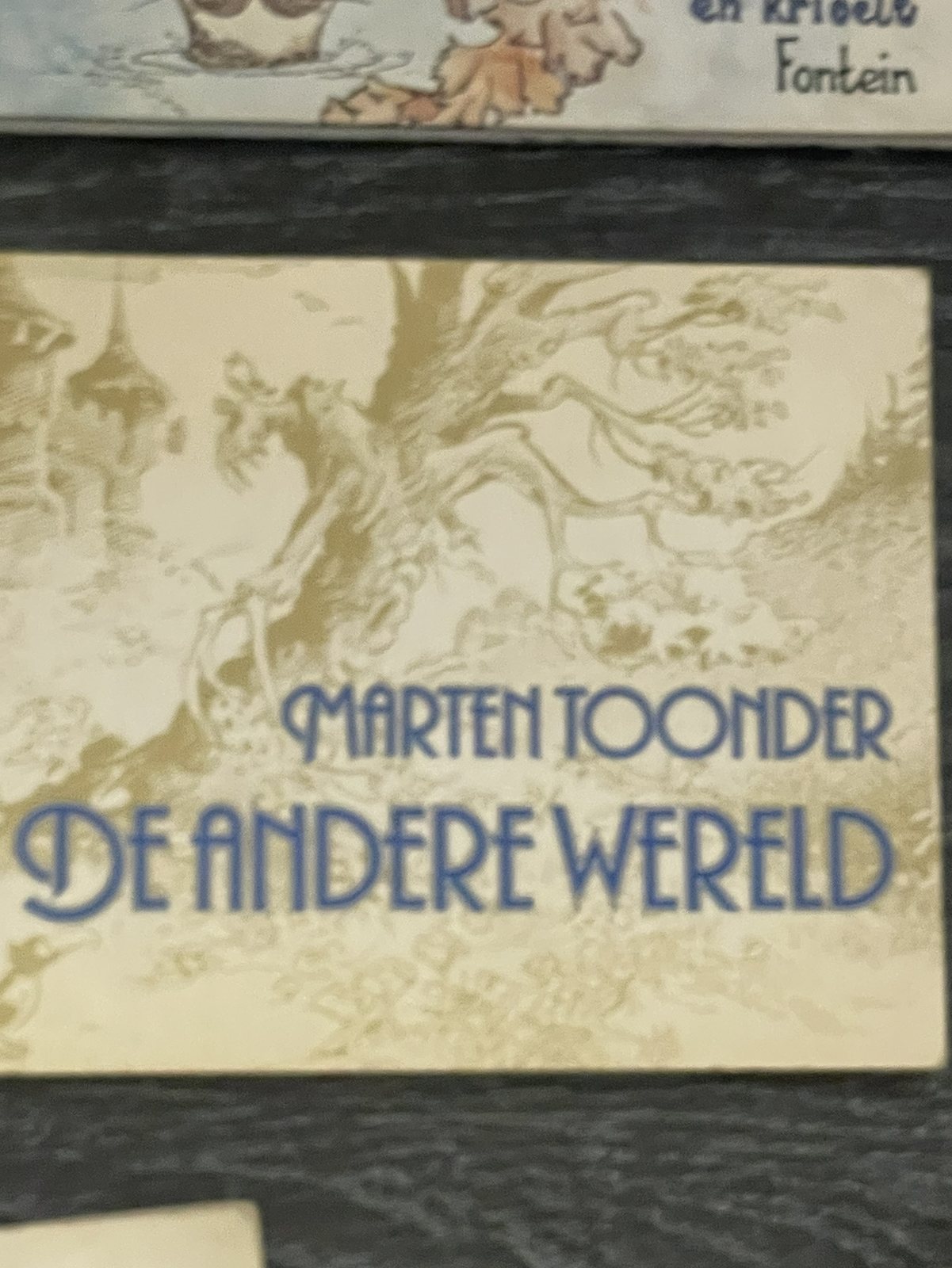Cover van De andere wereld