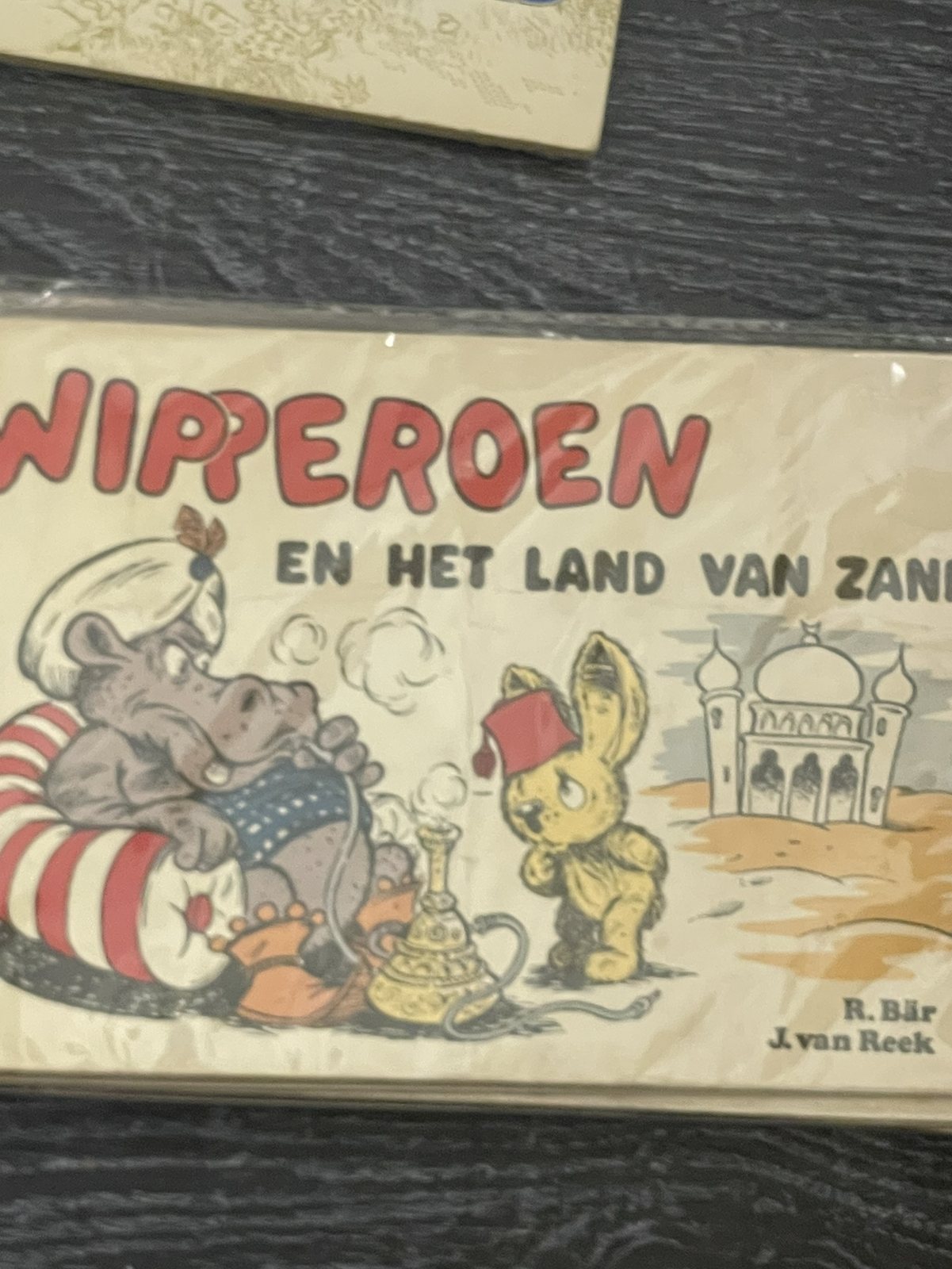 Cover van Wipperoen en het land van zand