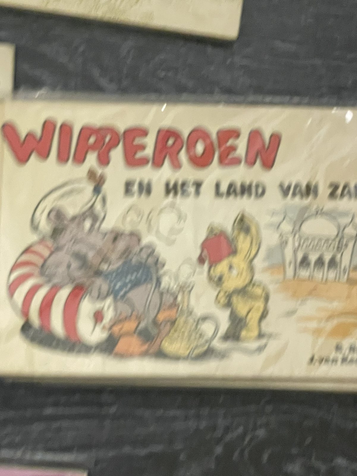 Cover van Wipperoen en het land van zand
