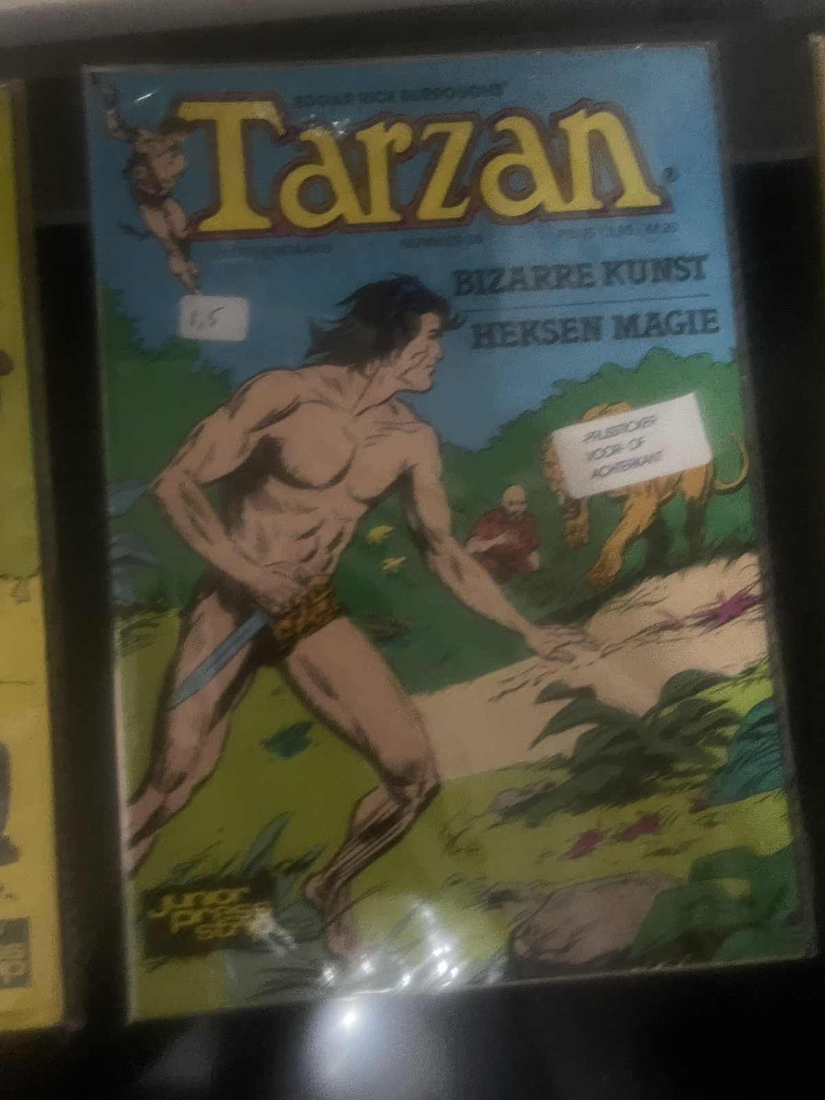 Cover van Bizarre kunst + Heksen magie