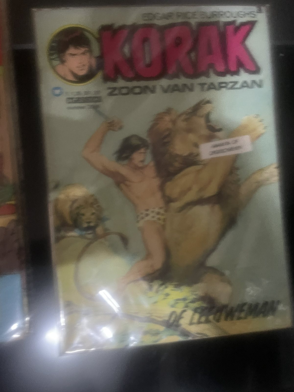 Cover van De leeuweman