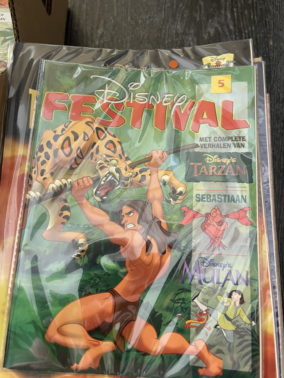 Cover van Disney Festival 5
