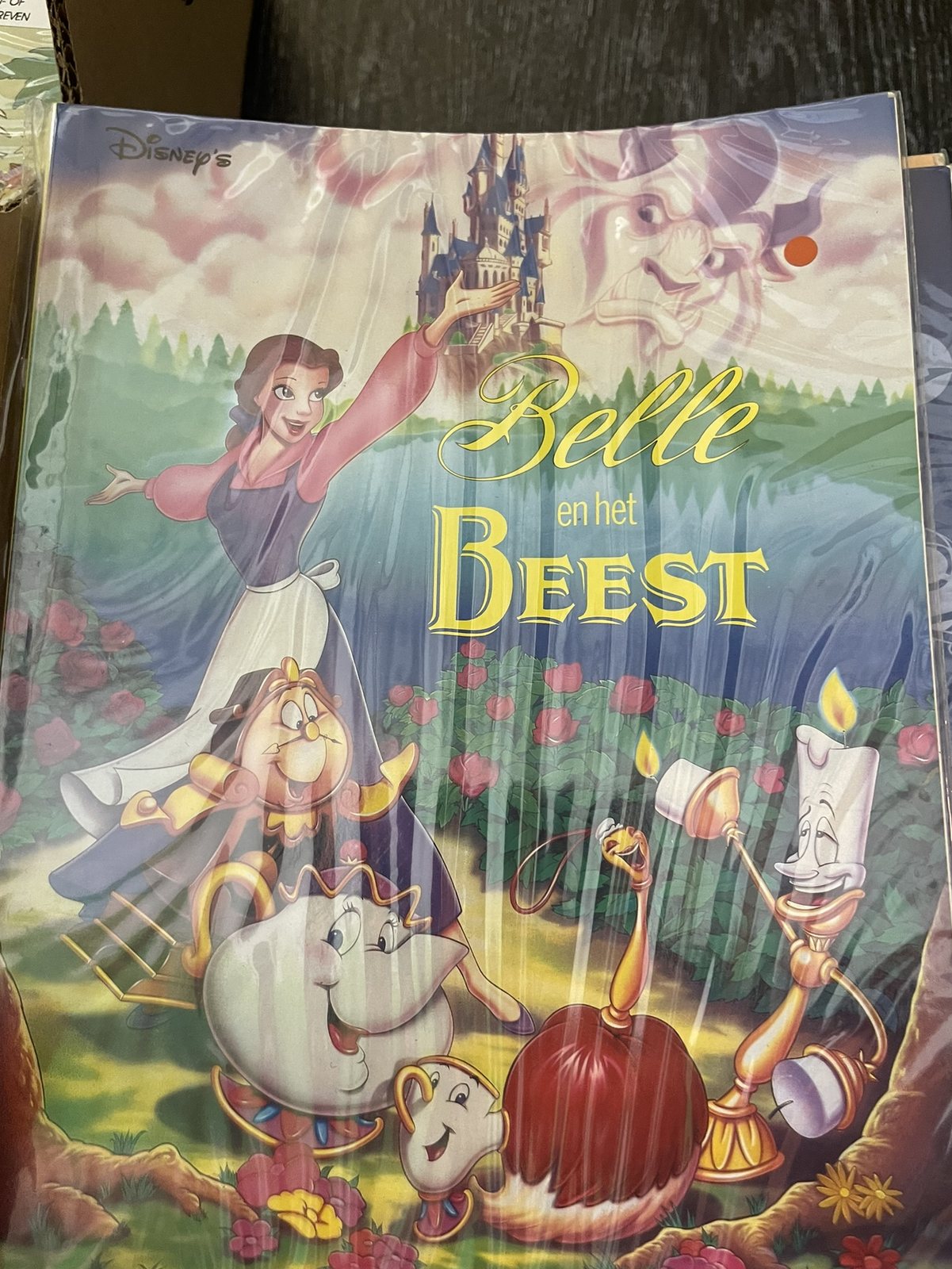 Cover van Belle en het Beest