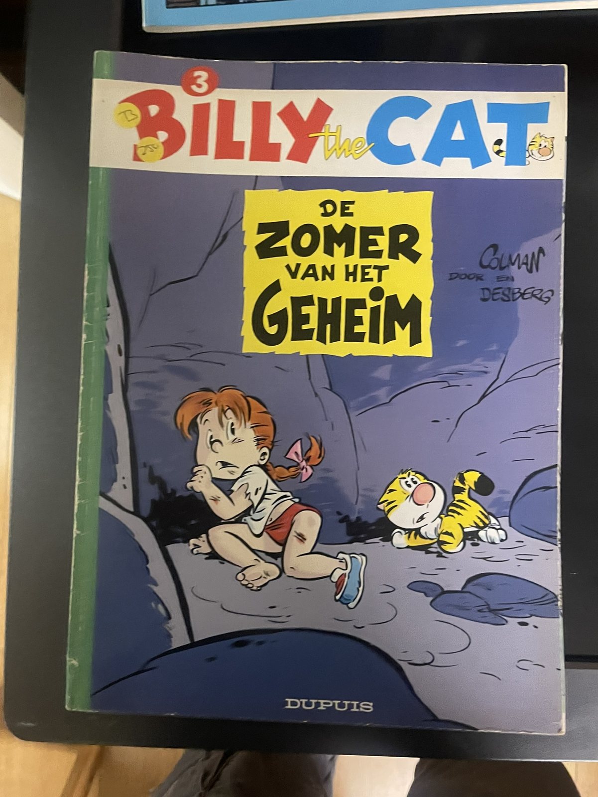 Cover van De zomer van het geheim