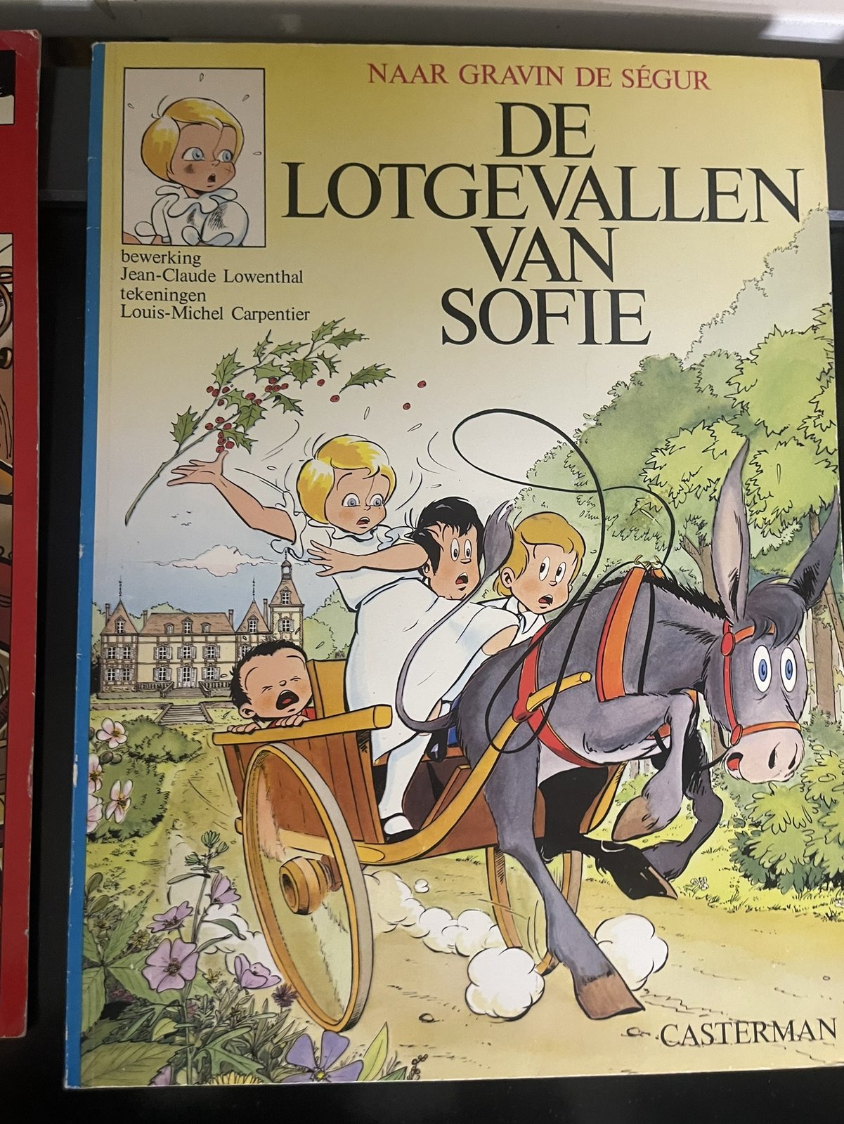 Cover van De lotgevallen van Sofie