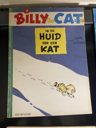 Cover van In de huid van een kat