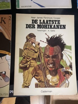 Cover van De laatste der Mohikanen