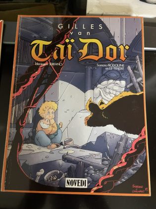 Cover van De handschoenen van Taï Dor