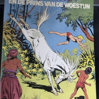 Cover van Corentin en de prins van de woestijn
