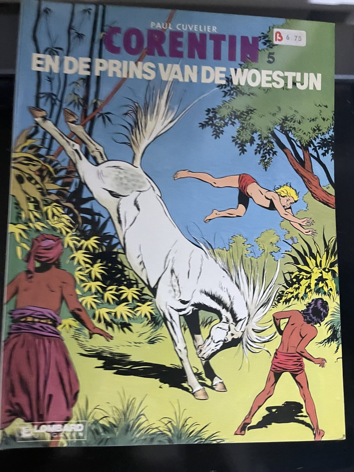 Cover van Corentin en de prins van de woestijn
