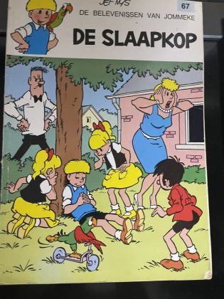 Cover van De slaapkop